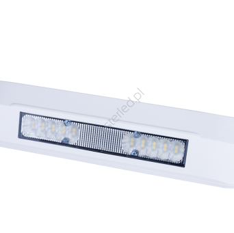 Lampa robocza (6500 K) LRD 3042/WH