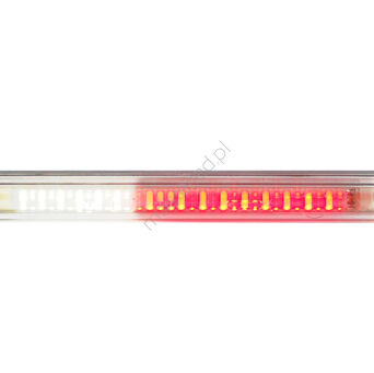 Lampa tylna LED cofania, przeciwmgielny 556 12/24V